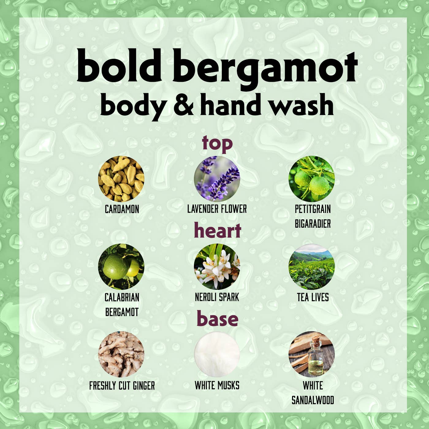 Körper- & Handwaschlotion BOLD BERGAMOT (250ml)